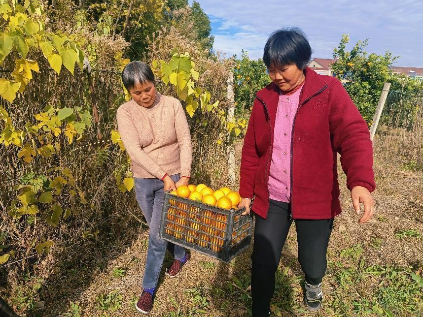 “爱意“农农”青春助力”